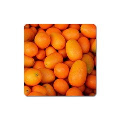 Kumquat 2 Square Magnet by trendistuff