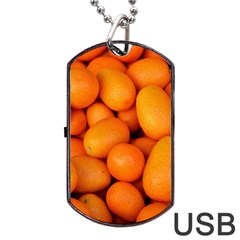 Kumquat 2 Dog Tag Usb Flash (two Sides) by trendistuff