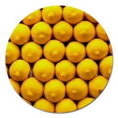 Lemons 1 Magnet 5  (round) by trendistuff