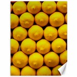 LEMONS 1 Canvas 36  x 48   35.26 x46.15  Canvas - 1