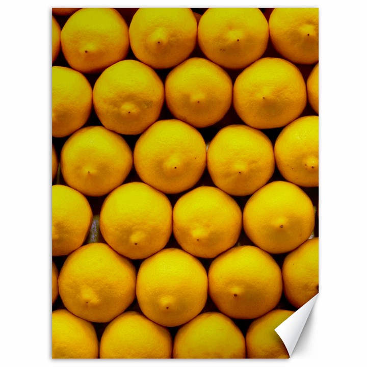 LEMONS 1 Canvas 36  x 48  