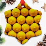 LEMONS 1 Ornament (Snowflake) Front