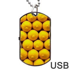 Lemons 1 Dog Tag Usb Flash (one Side) by trendistuff