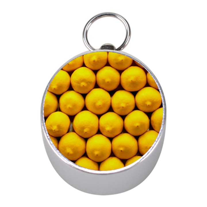 LEMONS 1 Mini Silver Compasses