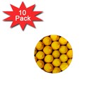 LEMONS 2 1  Mini Magnet (10 pack) 