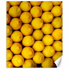 Lemons 2 Canvas 8  X 10  by trendistuff