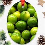 LIMES 1 Ornament (Oval)