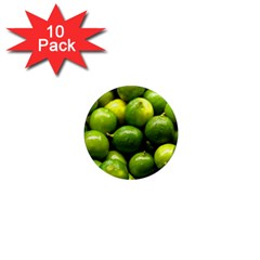 Limes 1 1  Mini Magnet (10 Pack) 