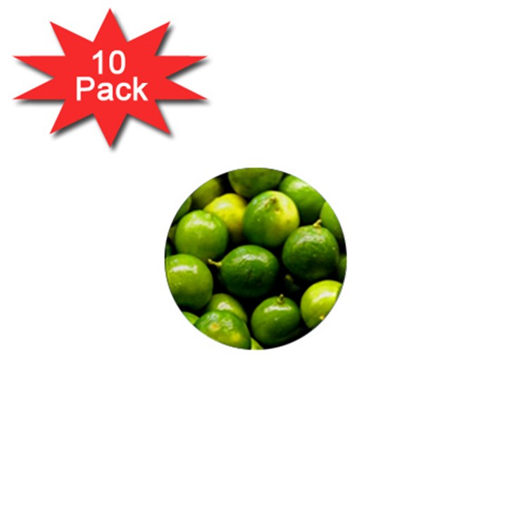 LIMES 1 1  Mini Magnet (10 pack) 