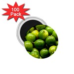 LIMES 1 1.75  Magnets (100 pack) 