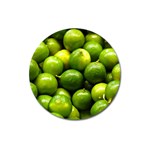 LIMES 1 Magnet 3  (Round)