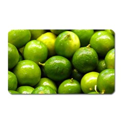 Limes 1 Magnet (rectangular)