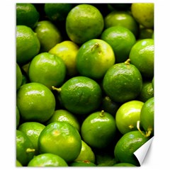 Limes 1 Canvas 8  X 10  by trendistuff