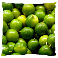 Limes 1 Standard Flano Cushion Case (one Side) by trendistuff