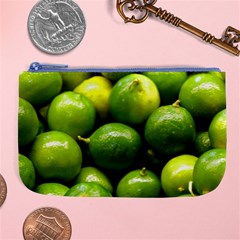 Limes 1 Large Coin Purse by trendistuff