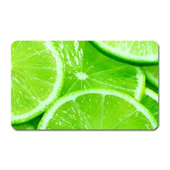 Limes 2 Magnet (rectangular) by trendistuff