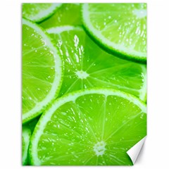 Limes 2 Canvas 18  X 24   by trendistuff