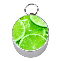 Limes 2 Mini Silver Compasses by trendistuff