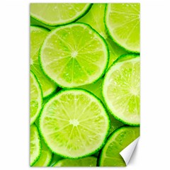 Limes 3 Canvas 24  X 36  by trendistuff