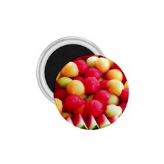 Melon Balls 1 75  Magnets by trendistuff