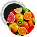 MIXED FRUIT 1 3  Magnets