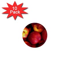 Nectarines 1  Mini Magnet (10 Pack) 