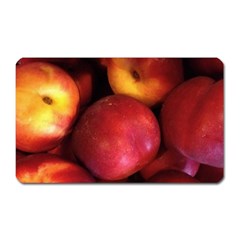 Nectarines Magnet (rectangular) by trendistuff