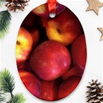 NECTARINES Oval Ornament (Two Sides) Back