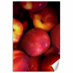 Nectarines Canvas 24  X 36  by trendistuff