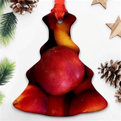 Nectarines Ornament (christmas Tree)  by trendistuff