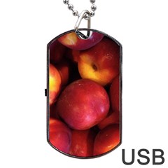 Nectarines Dog Tag Usb Flash (two Sides) by trendistuff