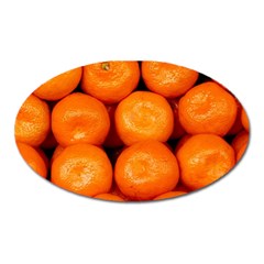 Oranges 1 Oval Magnet by trendistuff