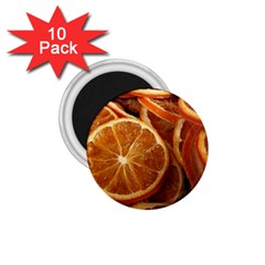 Oranges 5 1 75  Magnets (10 Pack)  by trendistuff