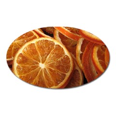 Oranges 5 Oval Magnet by trendistuff