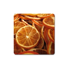 Oranges 5 Square Magnet