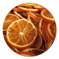 Oranges 5 Magnet 5  (round) by trendistuff