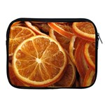 ORANGES 5 Apple iPad 2/3/4 Zipper Cases Front