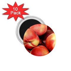 Peaches 1 1 75  Magnets (10 Pack)  by trendistuff