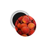 PEACHES 2 1.75  Magnets