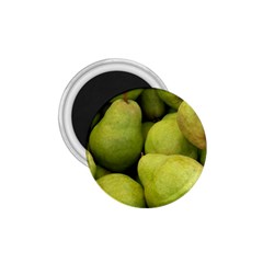 Pears 1 1 75  Magnets by trendistuff