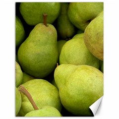 Pears 1 Canvas 12  X 16   by trendistuff