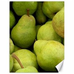 Pears 1 Canvas 18  X 24   by trendistuff