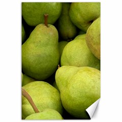 Pears 1 Canvas 24  X 36  by trendistuff