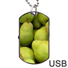 Pears 1 Dog Tag Usb Flash (one Side) by trendistuff