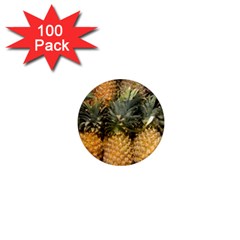 Pineapple 1 1  Mini Magnets (100 Pack)  by trendistuff