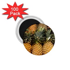 Pineapple 1 1 75  Magnets (100 Pack)  by trendistuff