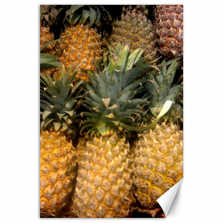 PINEAPPLE 1 Canvas 24  x 36 