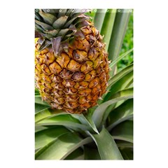 PINEAPPLE 2 Shower Curtain 48  x 72  (Small) 