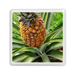 PINEAPPLE 2 Memory Card Reader (Square) 