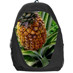 PINEAPPLE 2 Backpack Bag